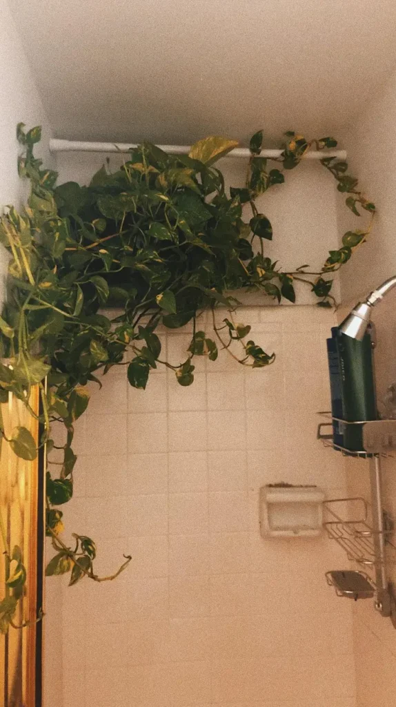 Bathroom Plants Decor Ideas