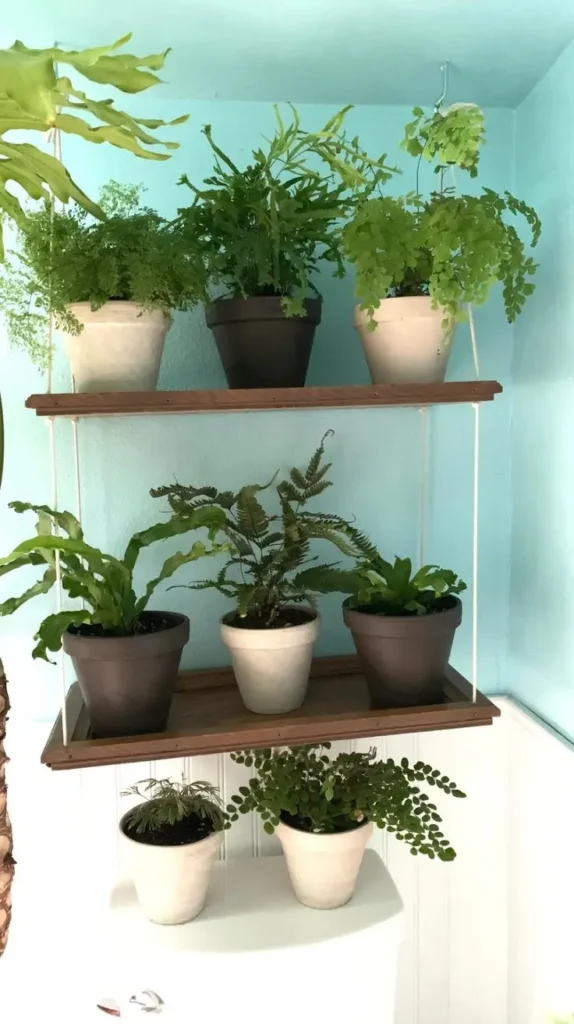 Bathroom Plants Decor Ideas 