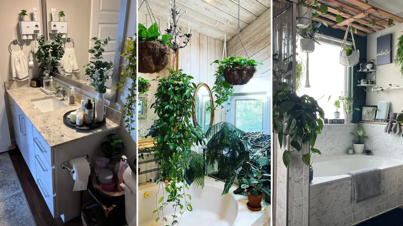 Bathroom Plants Decor Ideas That Transform Your Space Into a Lush Retreat
