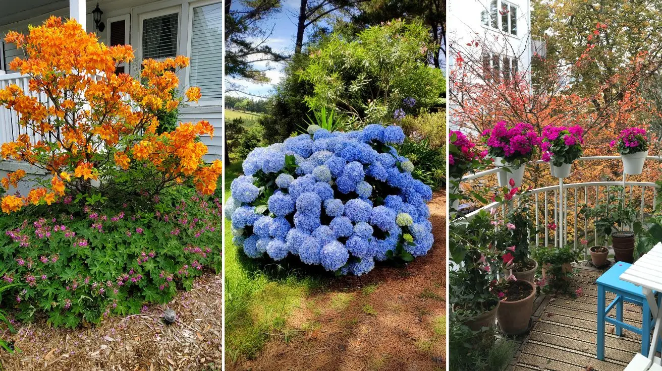 Outdoor Plants for Home That Instantly Transform Your Yard