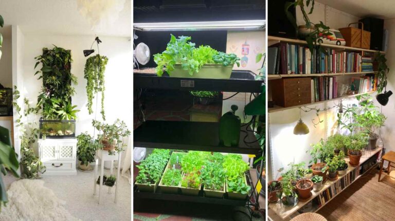 Apartment Gardening Ideas That Turn Tiny Spaces Into Green Escapes