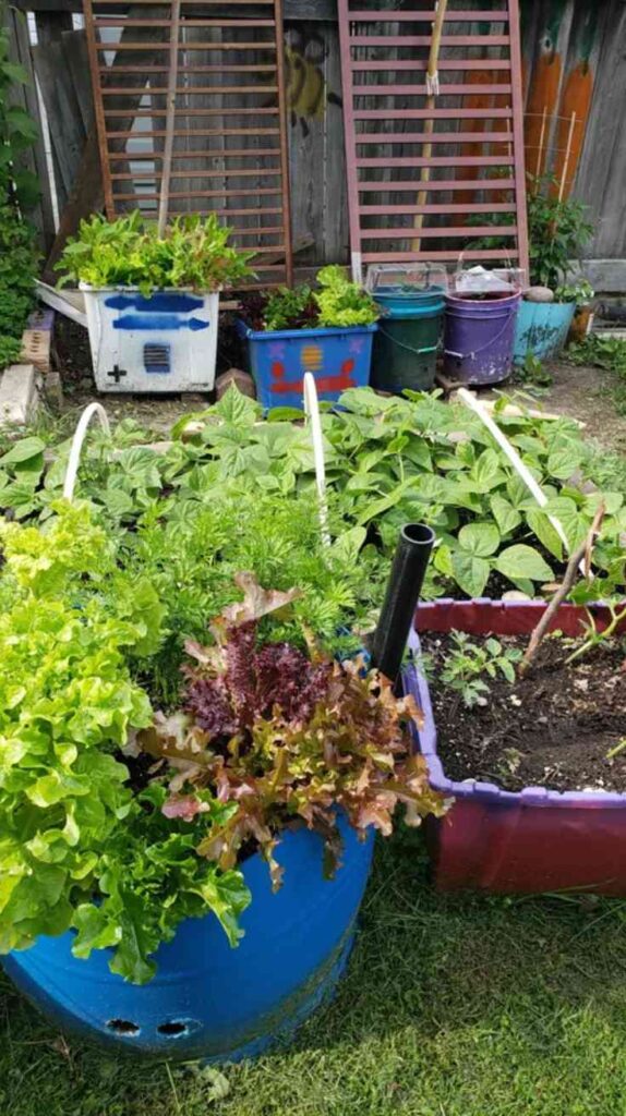 Container Gardening Ideas That Turn Small Spaces Into Lush Green Escapes