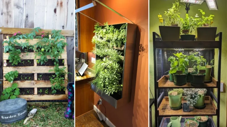 Herb Garden Ideas That Turn Any Small Space Into a Fresh Green Escape
