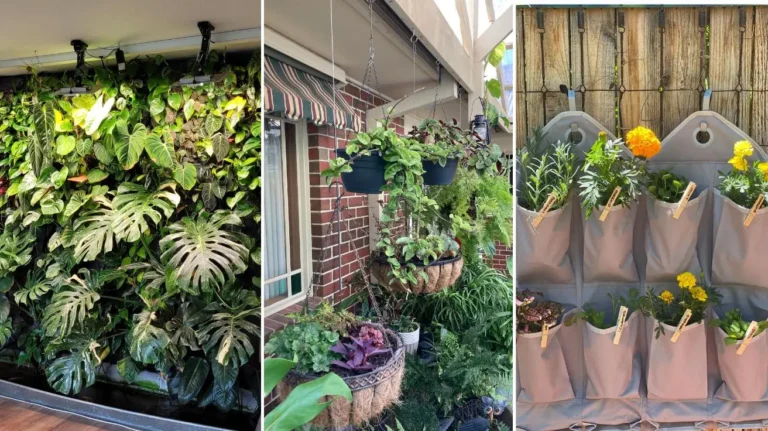 Vertical Gardening Ideas That Turn Small Spaces Into Green Masterpieces