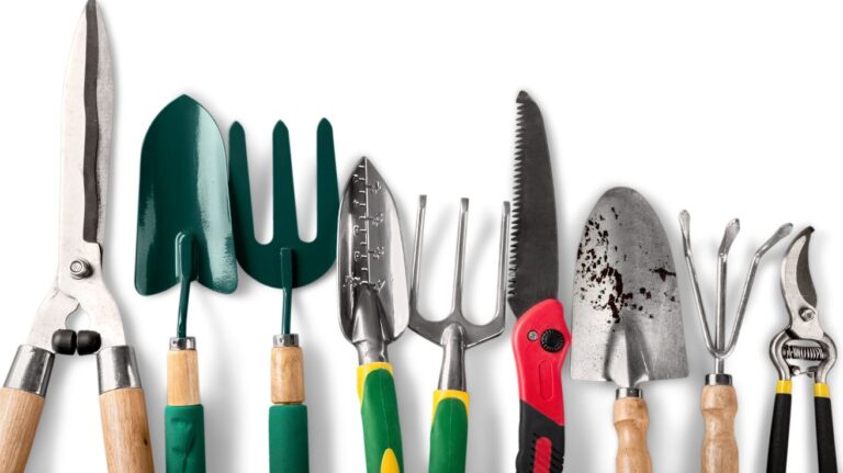 Discover Gardening Tools That Make Gardening Easy