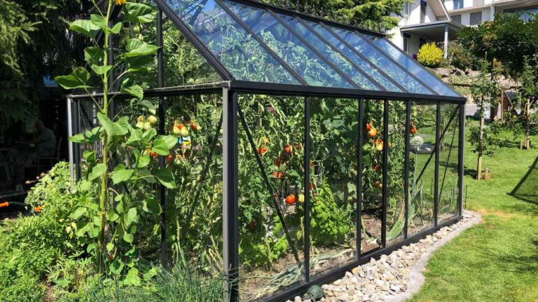 Greenhouse Gardening Ideas to Boost Your Plant Growth