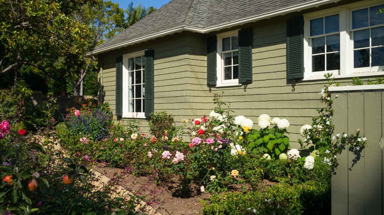 Home Gardening Ideas